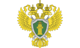 Социальные видеоролики прокуратуры Удмуртской Республики по профилактике противоправных деяний.