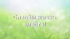 Конкурс видеороликов "Спасём жизнь вместе".